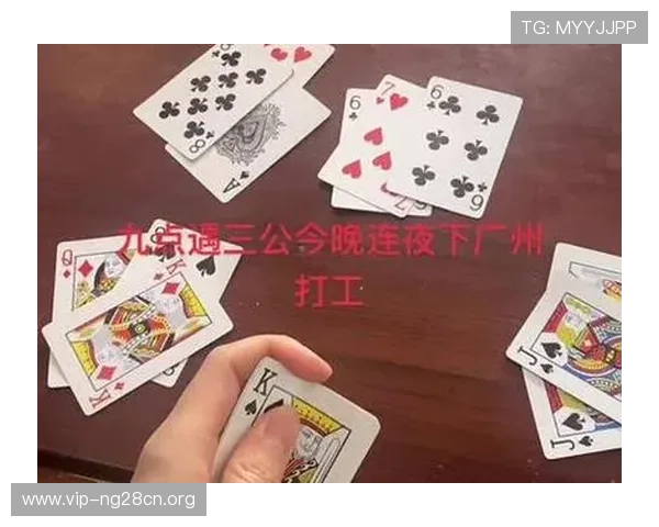 三公详细玩法最新版本更新内容及玩法技巧全面介绍助你成为游戏高手