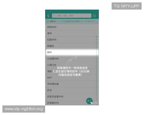二八杠玩法新手指南：从入门到精通的详细操作步骤与实用技巧